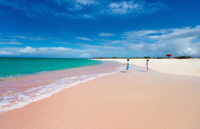 Excursión a la isla de Barbuda - Foto 3