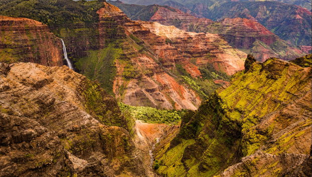 Waimea Canyon & Kōkeʻe State Park Day Trip - Foto 4