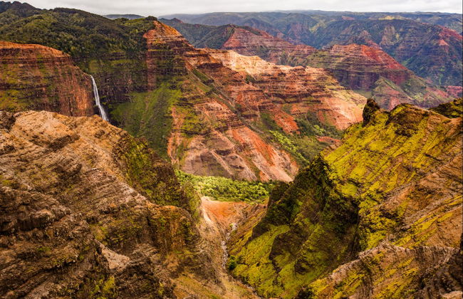 Excursion au Canyon de Waimea et au parc national Kōkeʻe - Photo 4