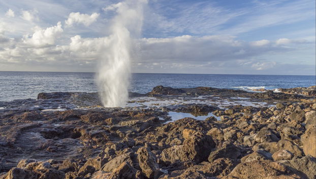 Waimea Canyon & Kōkeʻe State Park Day Trip - Foto 3