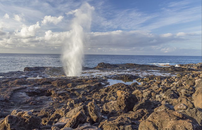 Excursion au Canyon de Waimea et au parc national Kōkeʻe - Photo 3