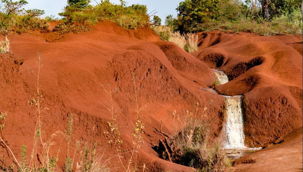 Waimea Canyon & Kōkeʻe State Park Day Trip - Foto 5
