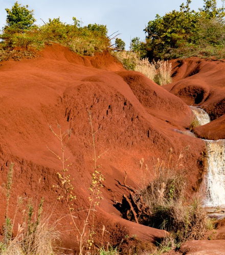 Foto - Excursão ao Cânion do Waimea e Parque Estatal Kōke&apos;e