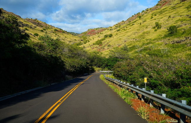 Excursion au Canyon de Waimea et au parc national Kōkeʻe - Photo 6