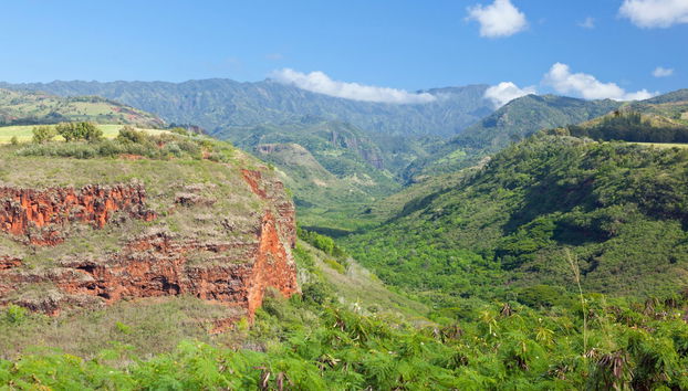 Waimea Canyon & Kōkeʻe State Park Day Trip - Foto 2