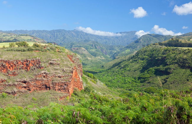 Excursion au Canyon de Waimea et au parc national Kōkeʻe - Photo 2