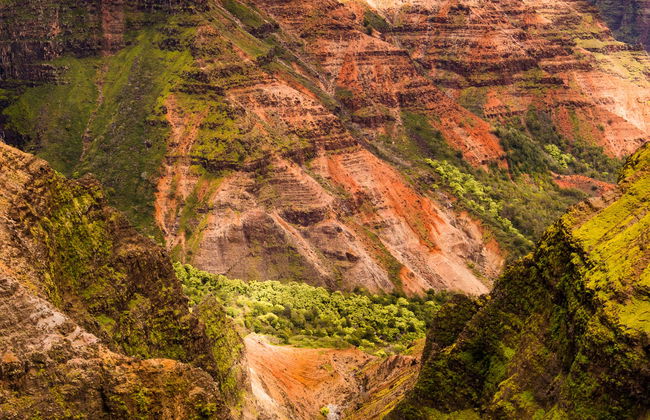 Waimea Canyon & Kōkeʻe State Park Day Trip - Photo 3