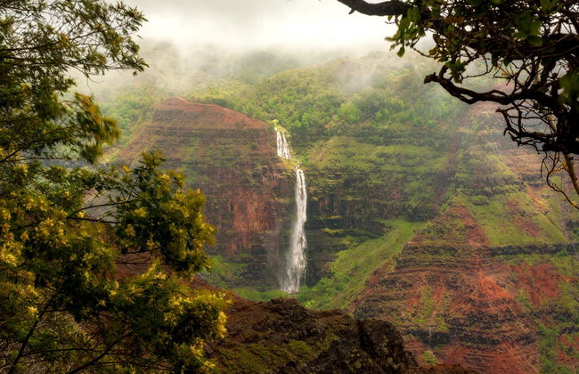 Excursion au Canyon de Waimea et au parc national Kōkeʻe - Photo 1