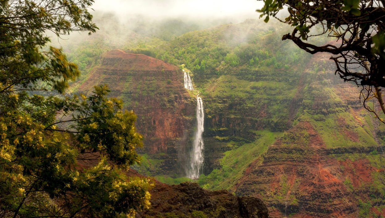 Waimea Canyon & Kōkeʻe State Park Day Trip - Foto 1