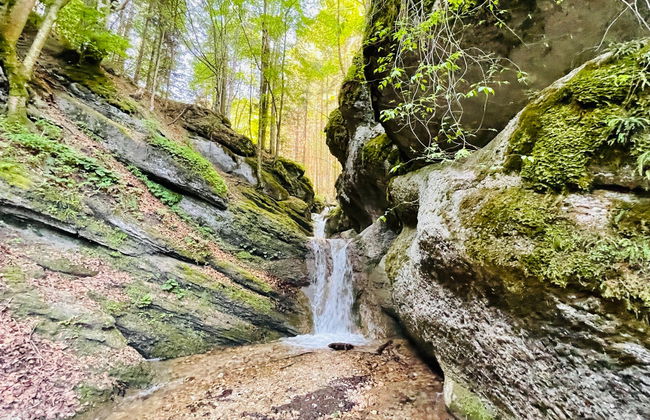 Excursión al cañón de Seven Ladders - Foto 7