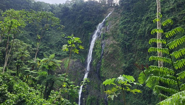 Excursión al Salto de La Jalda - Foto 3