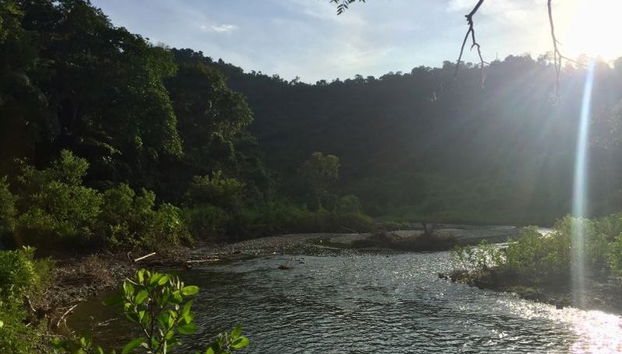 Ayampe River Birdwatching Tour - Photo 2
