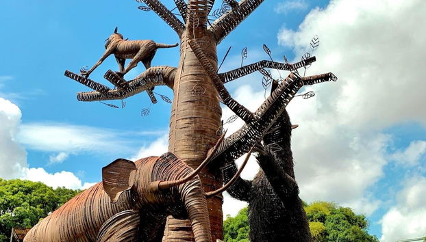 Tour por Teresina + Visita à Ponte Estaiada e Museu do Piauí - Foto 2