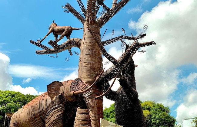 Tour por Teresina + Visita à Ponte Estaiada e Museu do Piauí - Foto 2