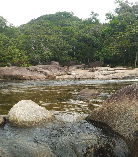 Foto de Senderismo por las cascadas de Ubatuba