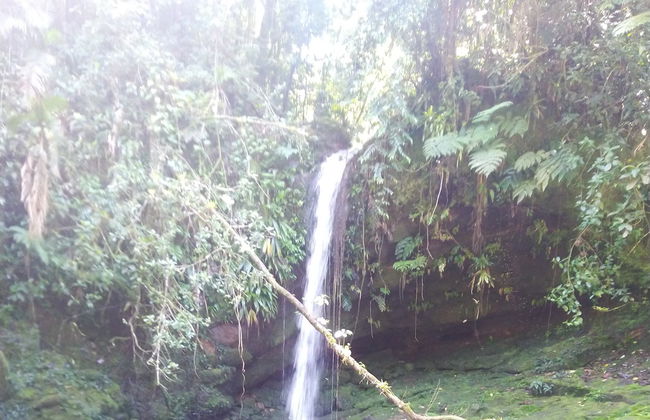 Senderismo por las cascadas de Ubatuba - Foto 2