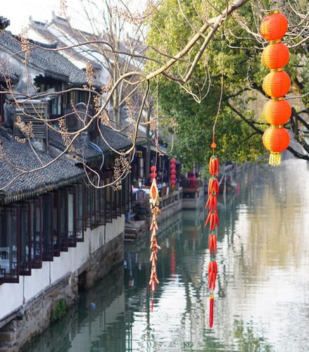 Foto de Descubra Zhouzhuang - Excursión privada de día completo