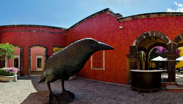 Jose Cuervo Express Train - Premium Plus Experience - Photo 5
