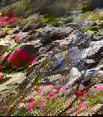 Foto de Tour de los misterios y leyendas del valle de Alcántara