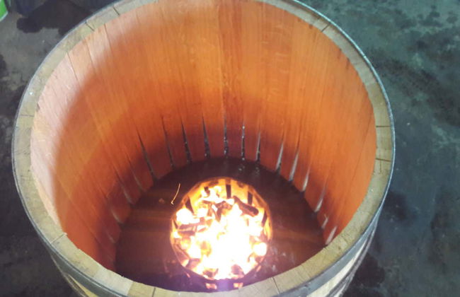 Visita a la bodega Finca Torremilanos - Foto 8