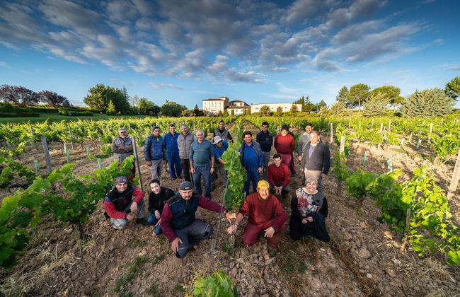 Finca Torremilanos Winery Tour + Tasting - Foto 5