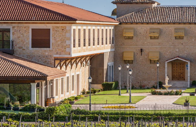 Finca Torremilanos Winery Tour + Tasting - Foto 8