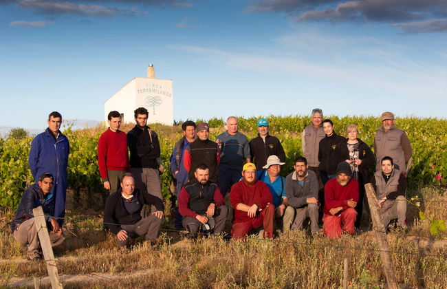 Finca Torremilanos Winery Tour + Tasting - Foto 7