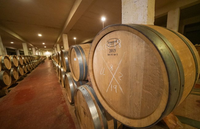 Finca Torremilanos Winery Tour + Tasting - Foto 3