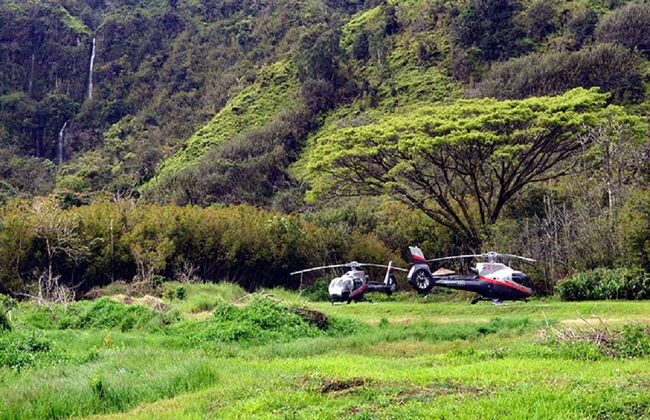 Hana Rainforest Experience - Photo 3
