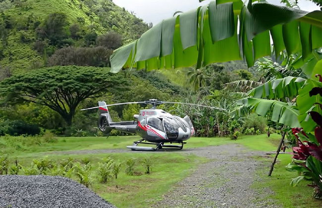 Hana Rainforest Experience - Photo 4