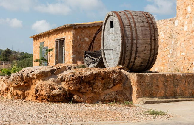 Bodegas Ángel - Tour y degustación de vinos - Foto 2