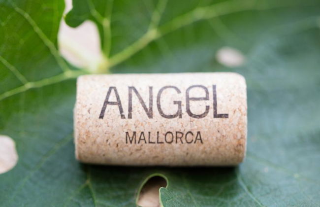 Bodegas Ángel - Tour y degustación de vinos - Foto 3