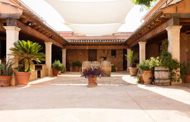 Bodegas Ángel - Tour y degustación de vinos - Foto 6