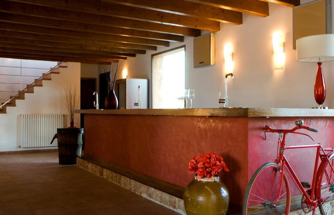 Bodegas Ángel - Tour y degustación de vinos - Foto 4