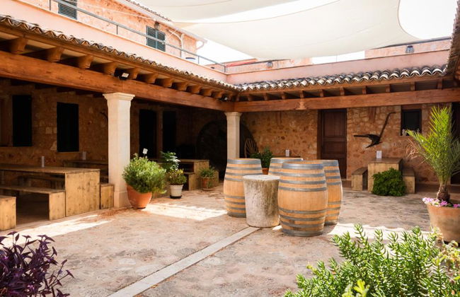 Bodegas Ángel - Tour y degustación de vinos - Foto 5