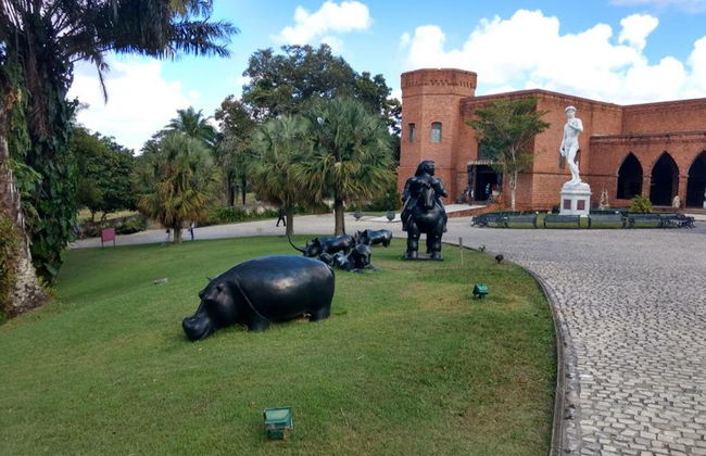 Excursión a Olinda + Instituto Ricardo Brennard - Foto 3