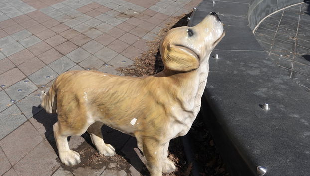 Free tour por Toronto - Foto 3