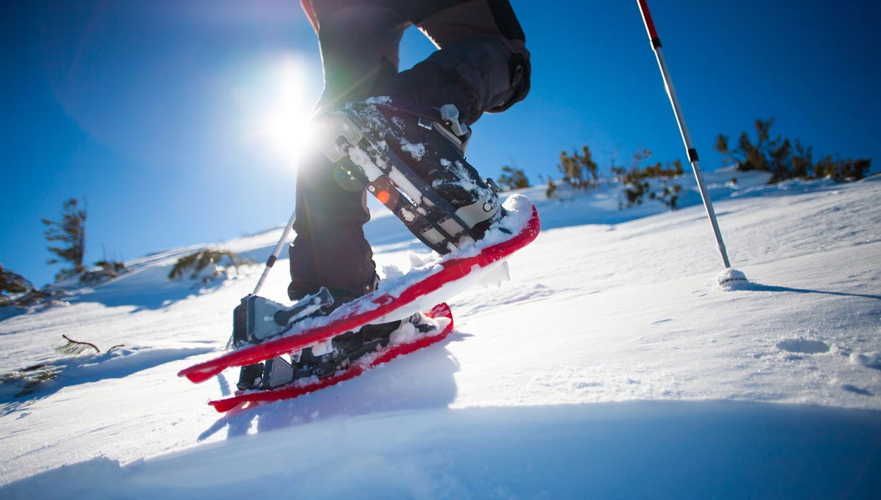 Seward Snowshoeing Tour - Foto 1