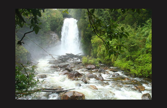 Excursão ao Parque Aiken del Sur - Foto 3