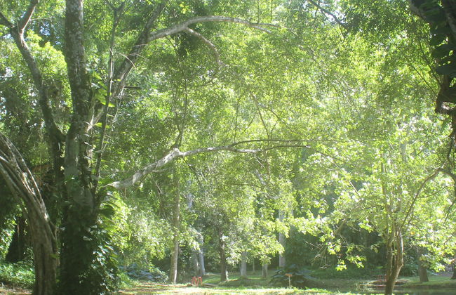 Hershey Gardens Excursion by Motorbike - Photo 8