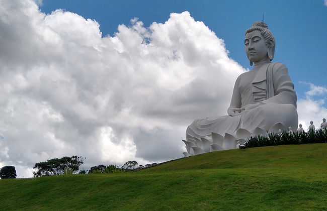 Ibiraçu Buddha Tour + Other Sights - Foto 5