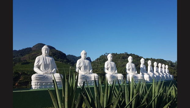 Excursão à estátua do Buda gigante - Foto 4