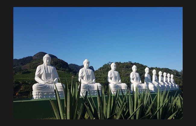 Ibiraçu Buddha Tour + Other Sights - Foto 4