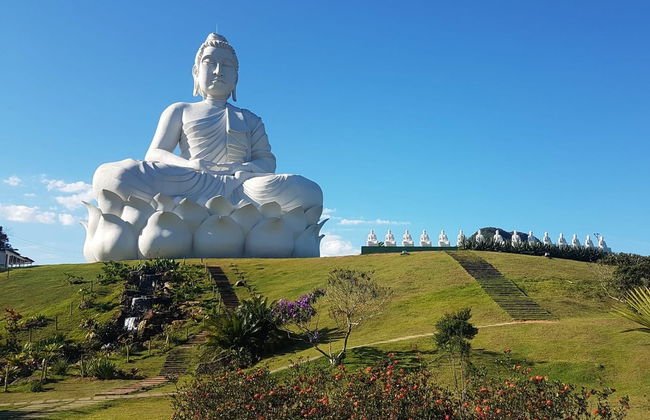 Ibiraçu Buddha Tour + Other Sights - Foto 1