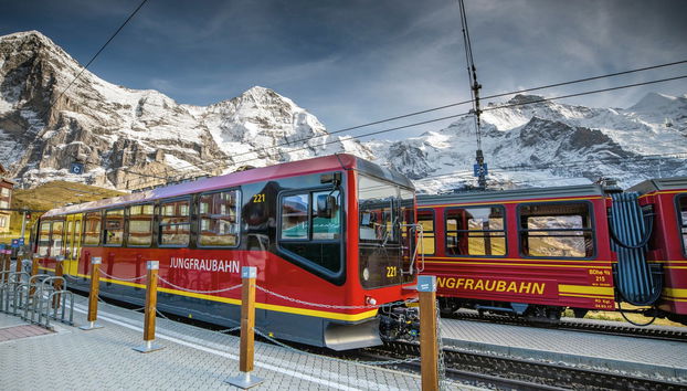 From Grindelwald: Train or Cable Car to Jungfraujoch - Top of Europe - Foto 5