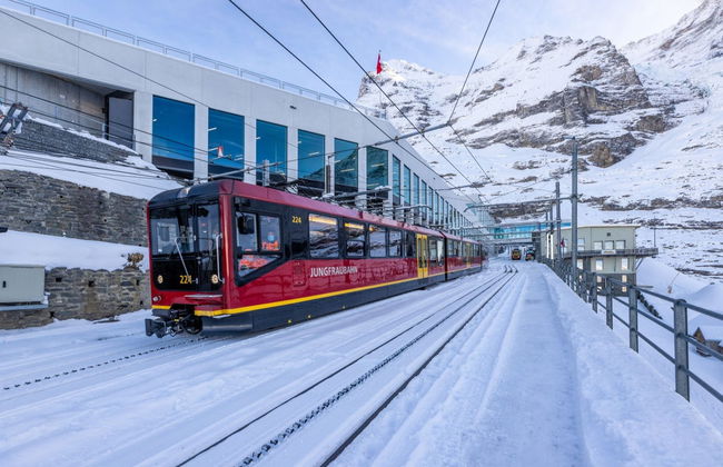 From Grindelwald: Train or Cable Car to Jungfraujoch - Top of Europe - Photo 3