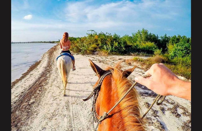 Balade à cheval à Holbox - Photo 10