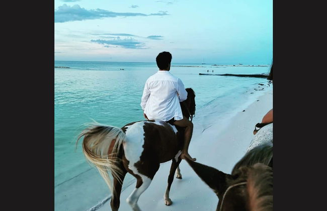 Balade à cheval à Holbox - Photo 12