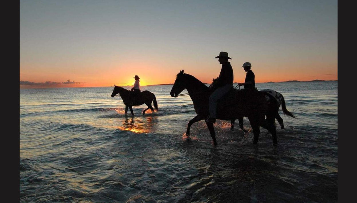 Horse Riding In Holbox - Foto 1