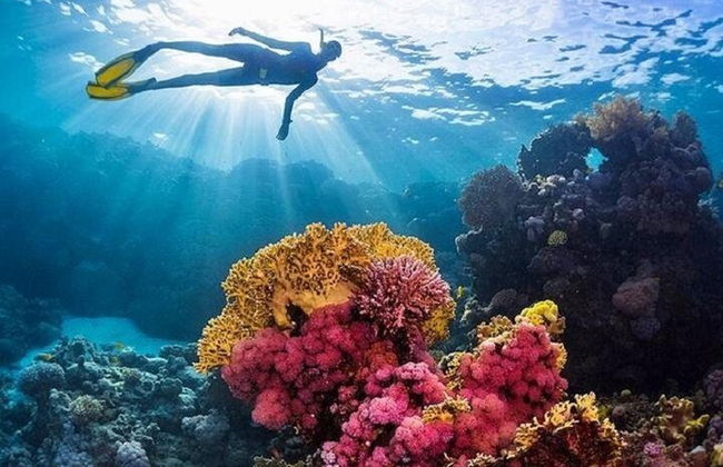 Excursión de snorkel de día completo a las islas Hamata y Qulaan - Marsa Alam - Foto 3